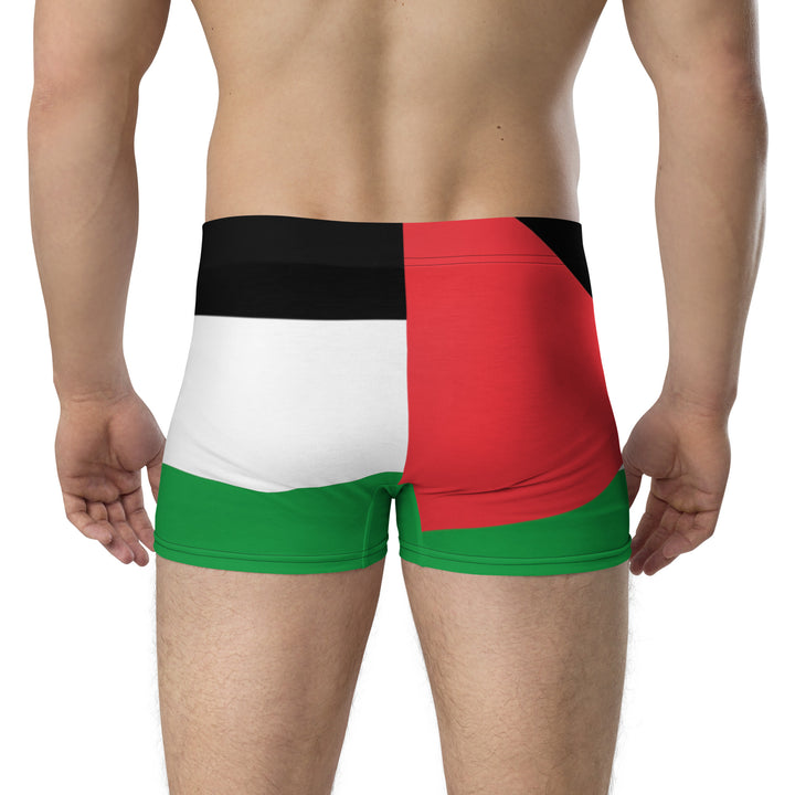 Boxer Briefs | Palestine Flag