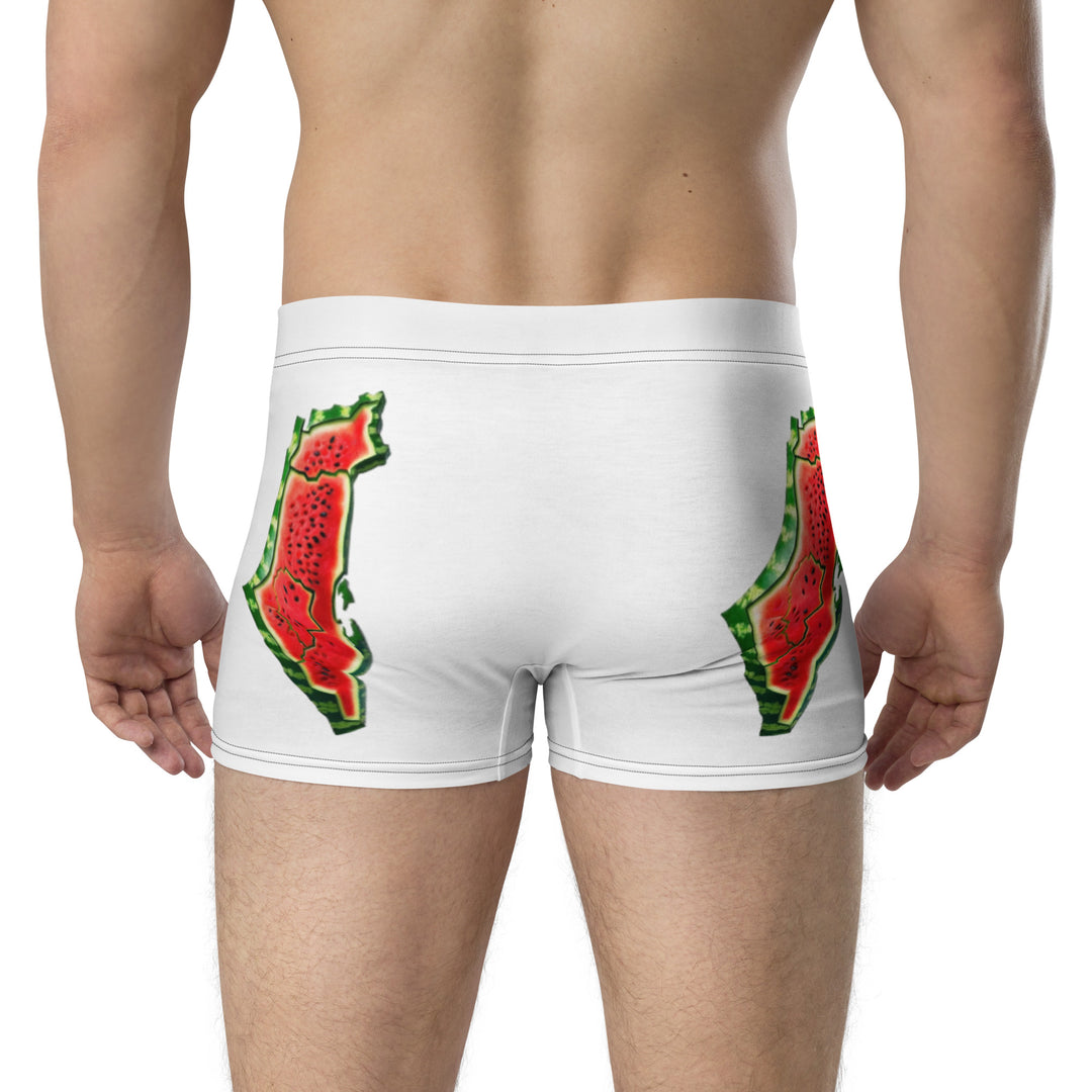 Boxer Briefs | Palestine Watermelon