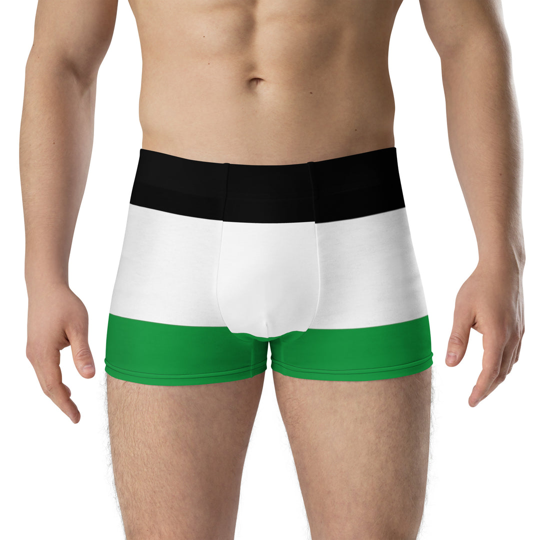 Boxer Briefs | Palestine Flag