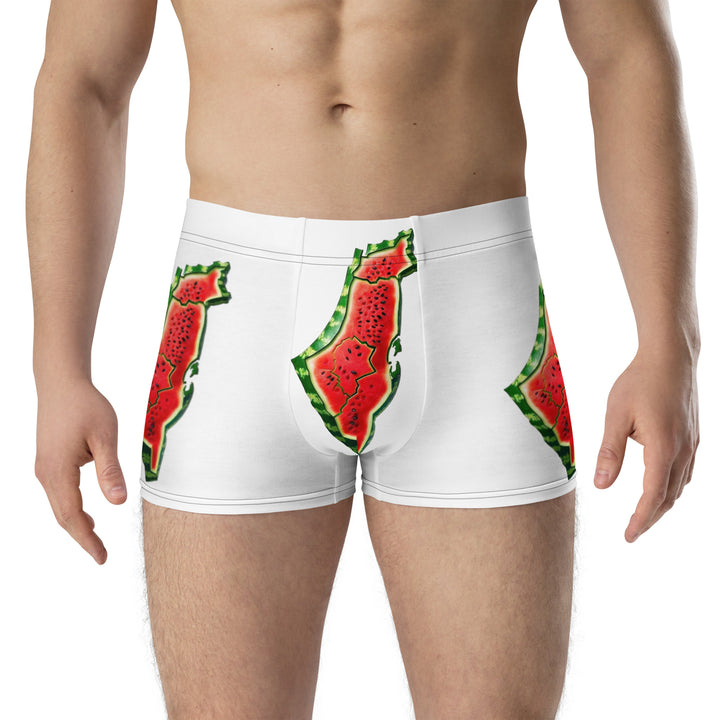 Boxer Briefs | Palestine Watermelon