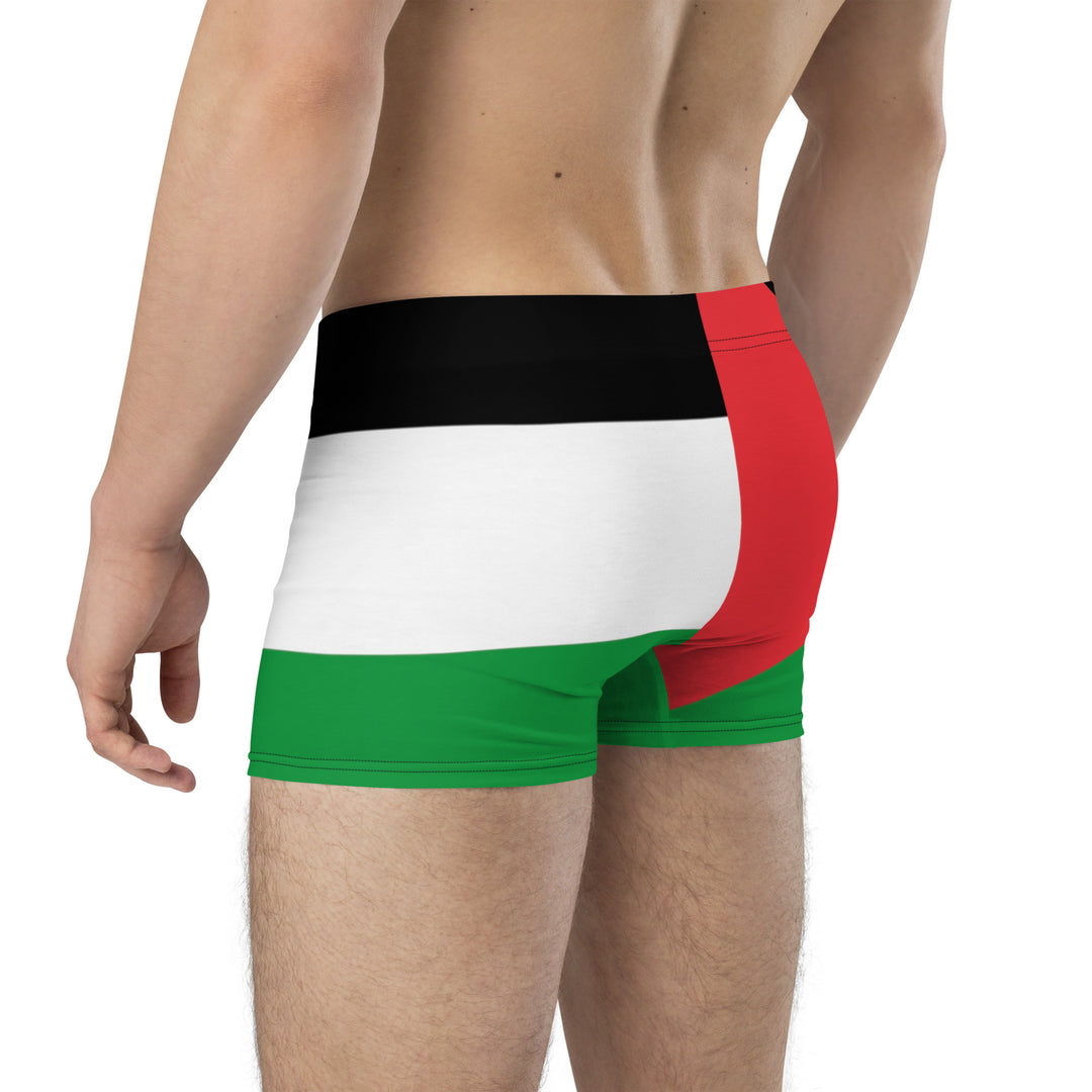 Boxer Briefs | Palestine Flag