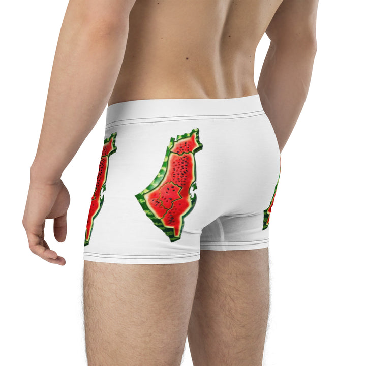 Boxer Briefs | Palestine Watermelon