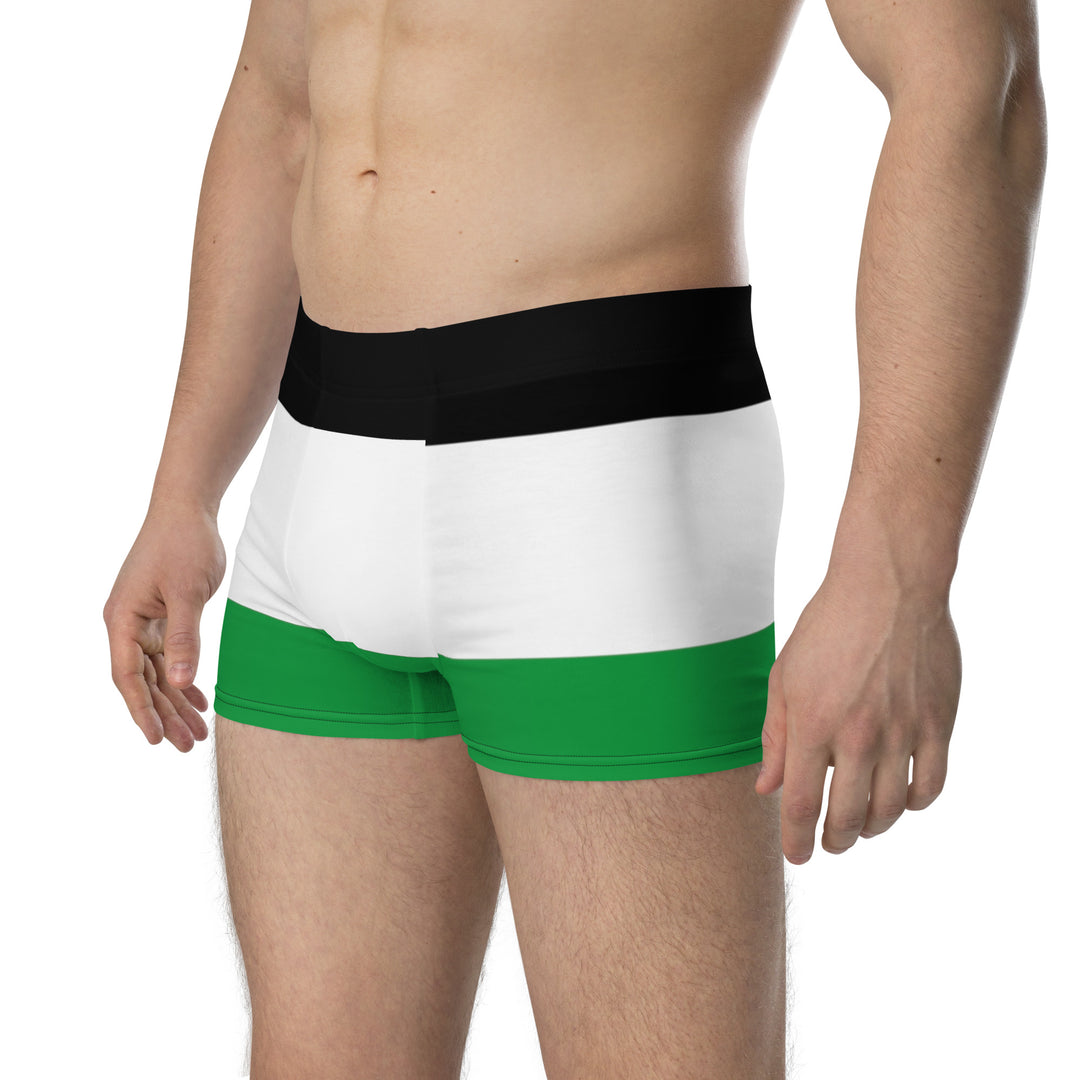 Boxer Briefs | Palestine Flag