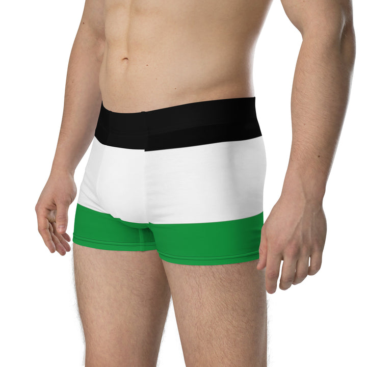 Boxer Briefs | Palestine Flag