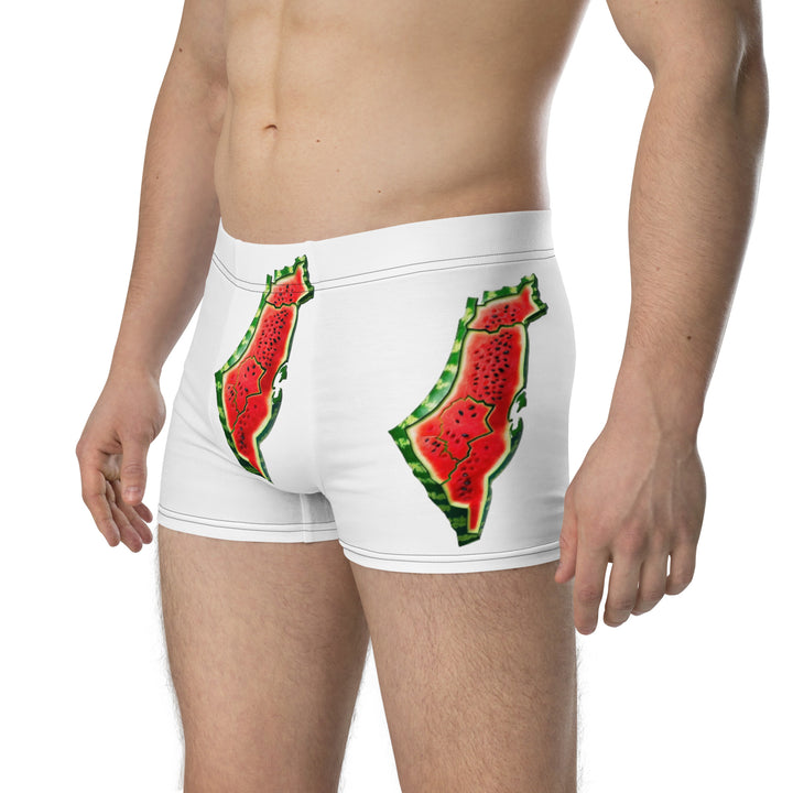 Boxer Briefs | Palestine Watermelon