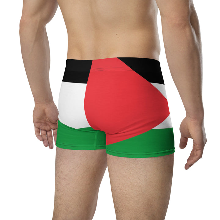 Boxer Briefs | Palestine Flag