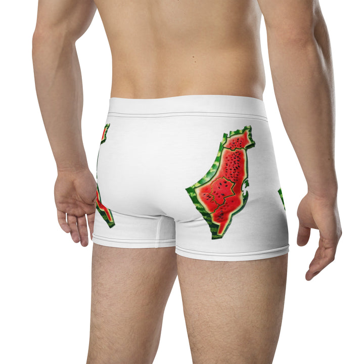 Boxer Briefs | Palestine Watermelon