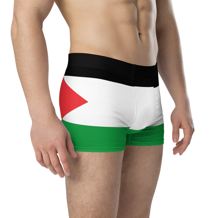 Boxer Briefs | Palestine Flag