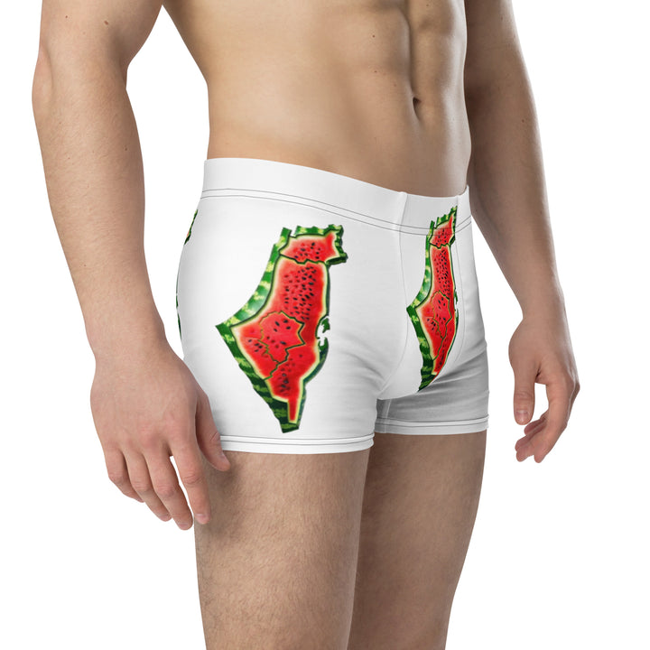 Boxer Briefs | Palestine Watermelon