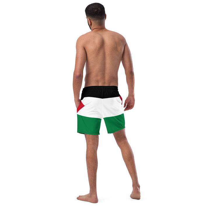 Men's swim trunks | Palestine Flag