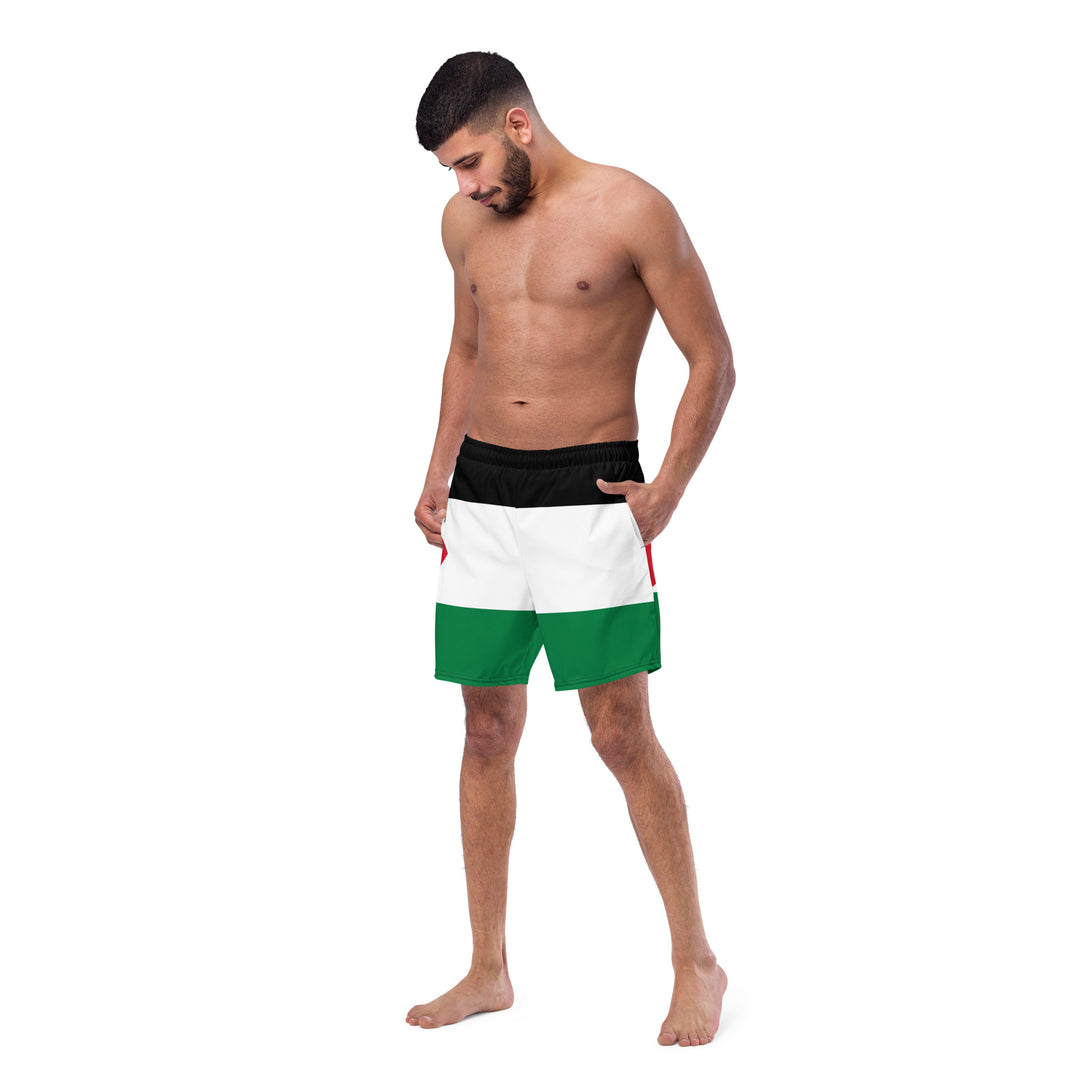 Men's swim trunks | Palestine Flag