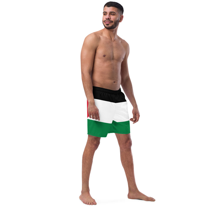 Men's swim trunks | Palestine Flag