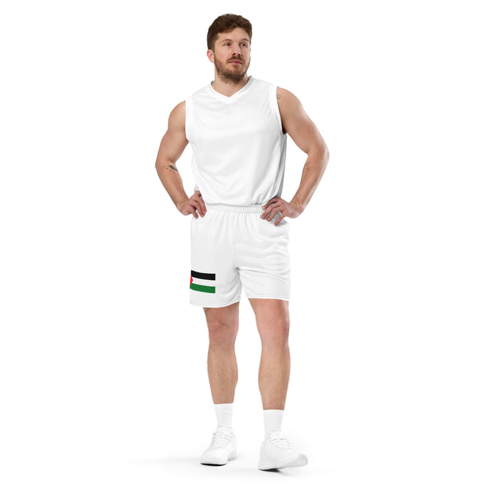 Men mesh shorts | Palestine Flag