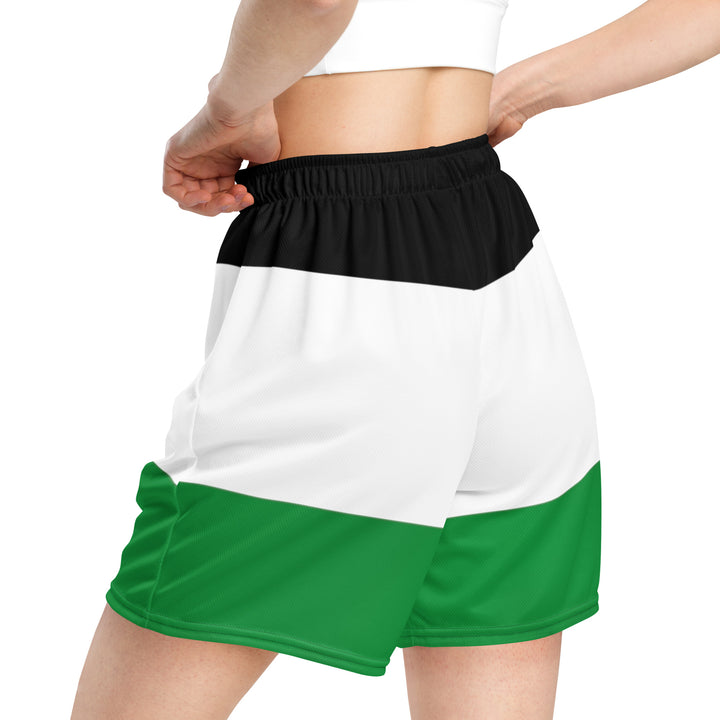 Women mesh shorts | Palestine Flag