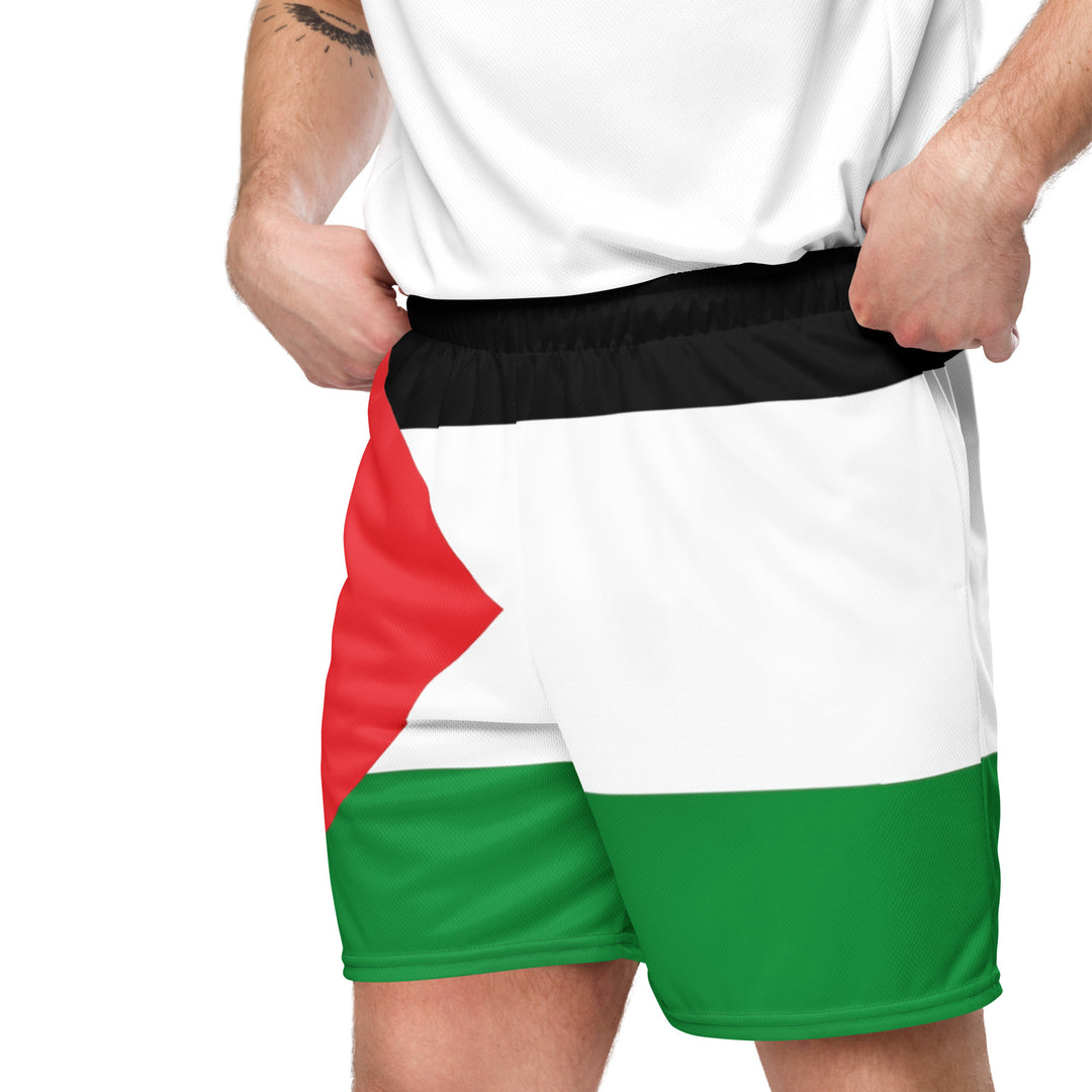 Men mesh shorts | Palestine Flag