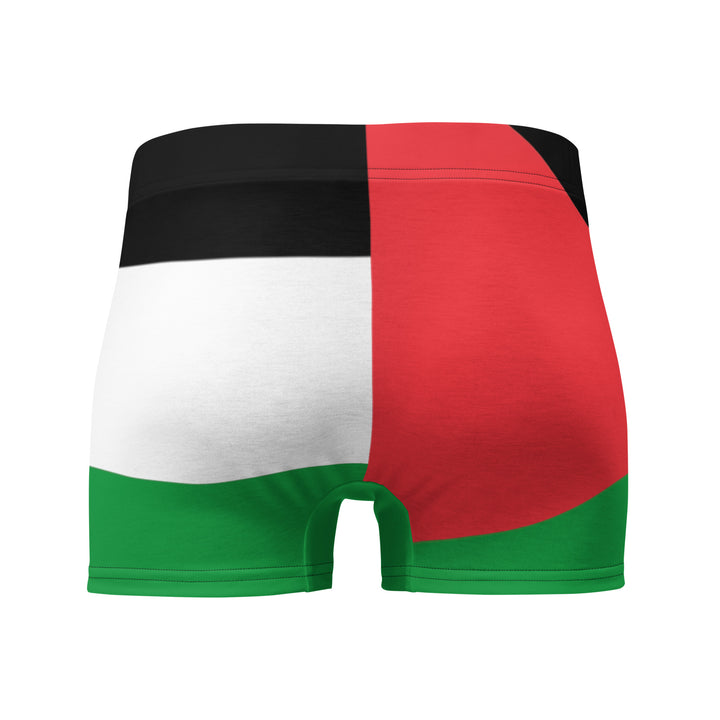 Boxer Briefs - Palestine Flag, Boxer Briefs White