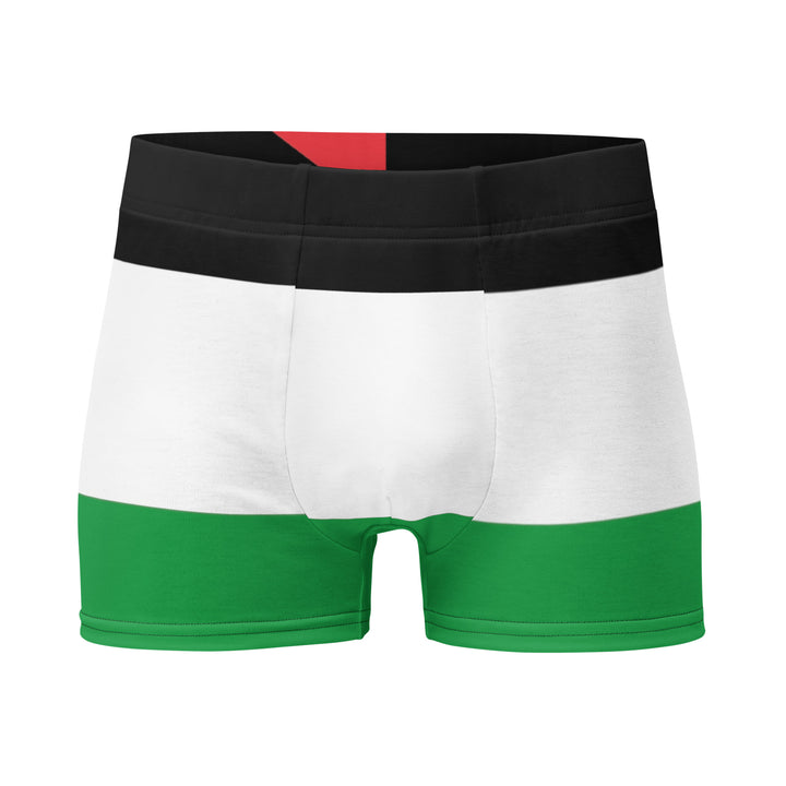 Boxer Briefs - Palestine Flag, Boxer Briefs White
