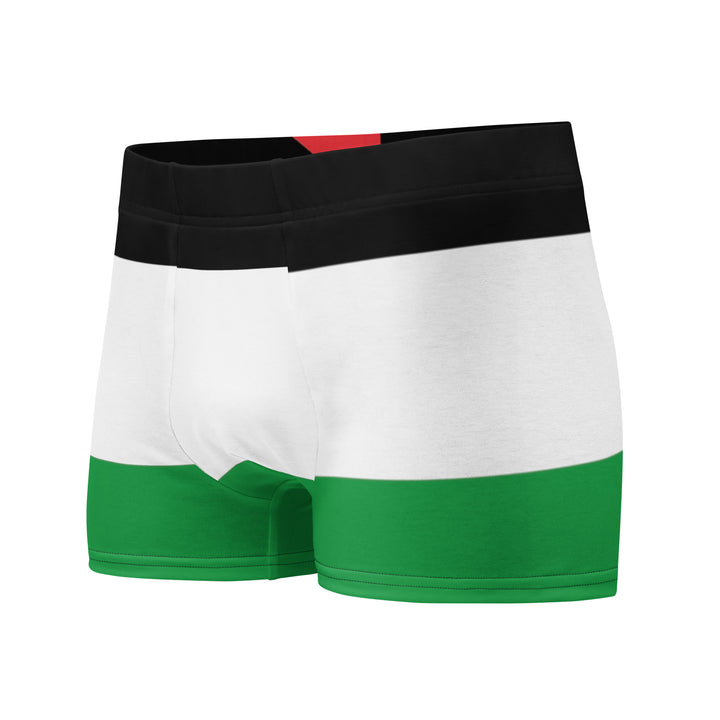 Boxer Briefs - Palestine Flag, Boxer Briefs White