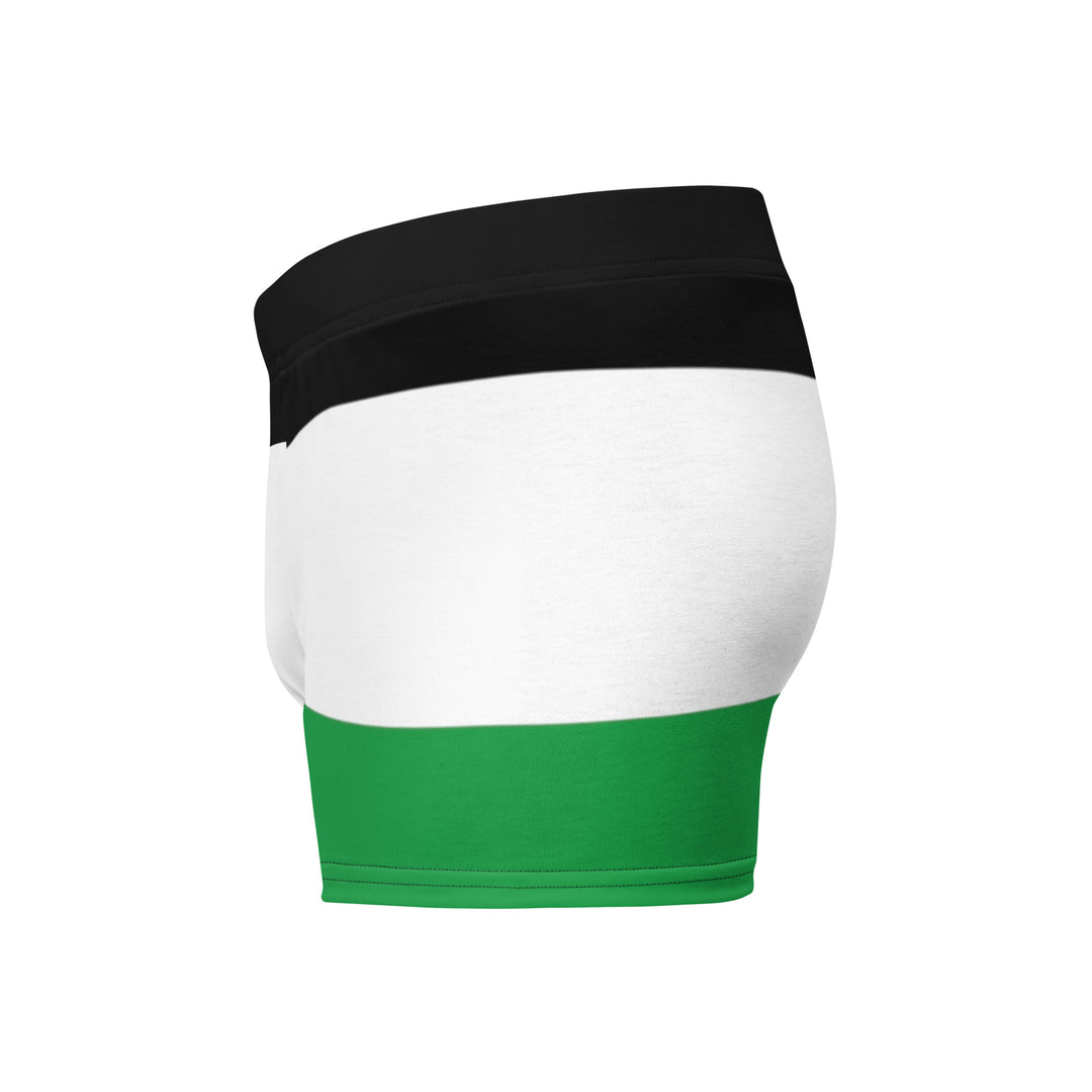 Boxer Briefs - Palestine Flag, Boxer Briefs White