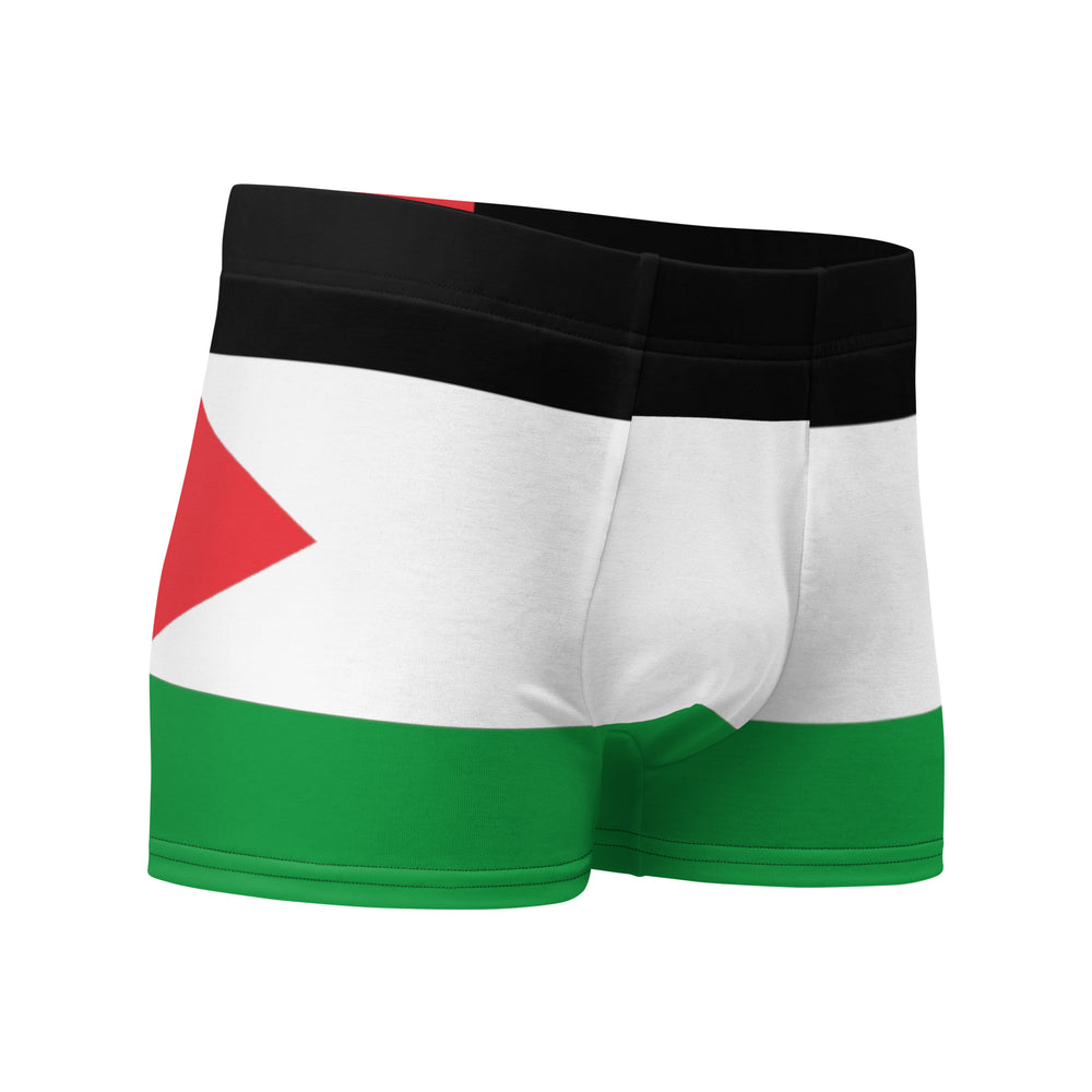 Boxer Briefs - Palestine Flag, Boxer Briefs White