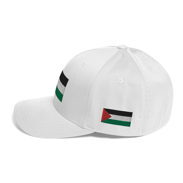 Structured Twill Cap | Palestine Flag