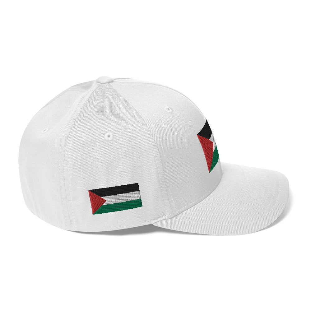 Structured Twill Cap | Palestine Flag