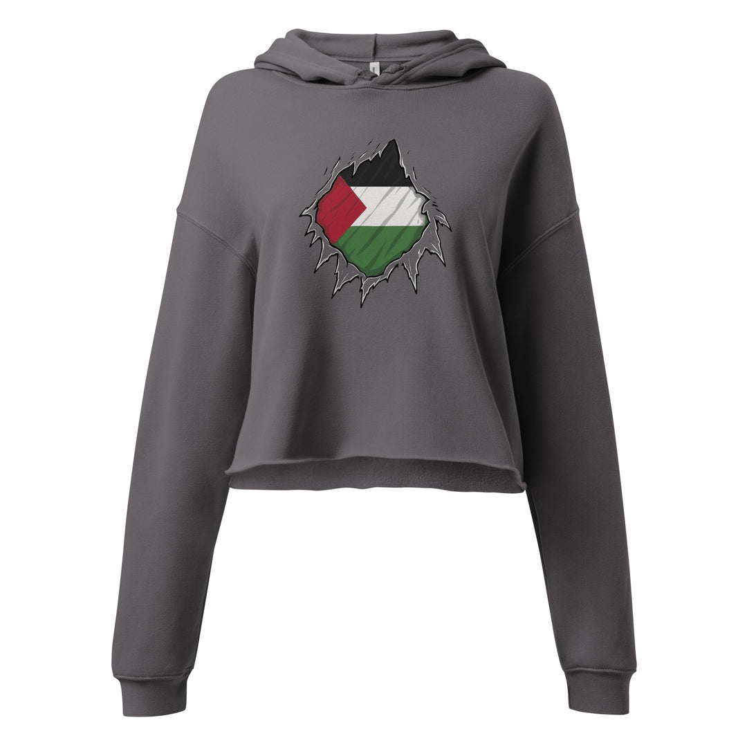 Crop Hoodie - Palestine Hero, Womens Cropped Hoodie Storm