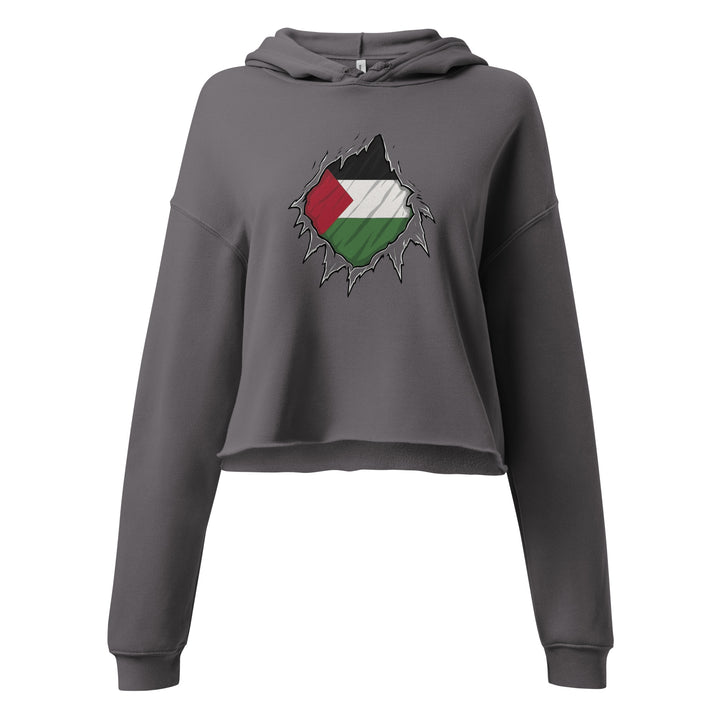 Crop Hoodie - Palestine Hero, Womens Cropped Hoodie Storm