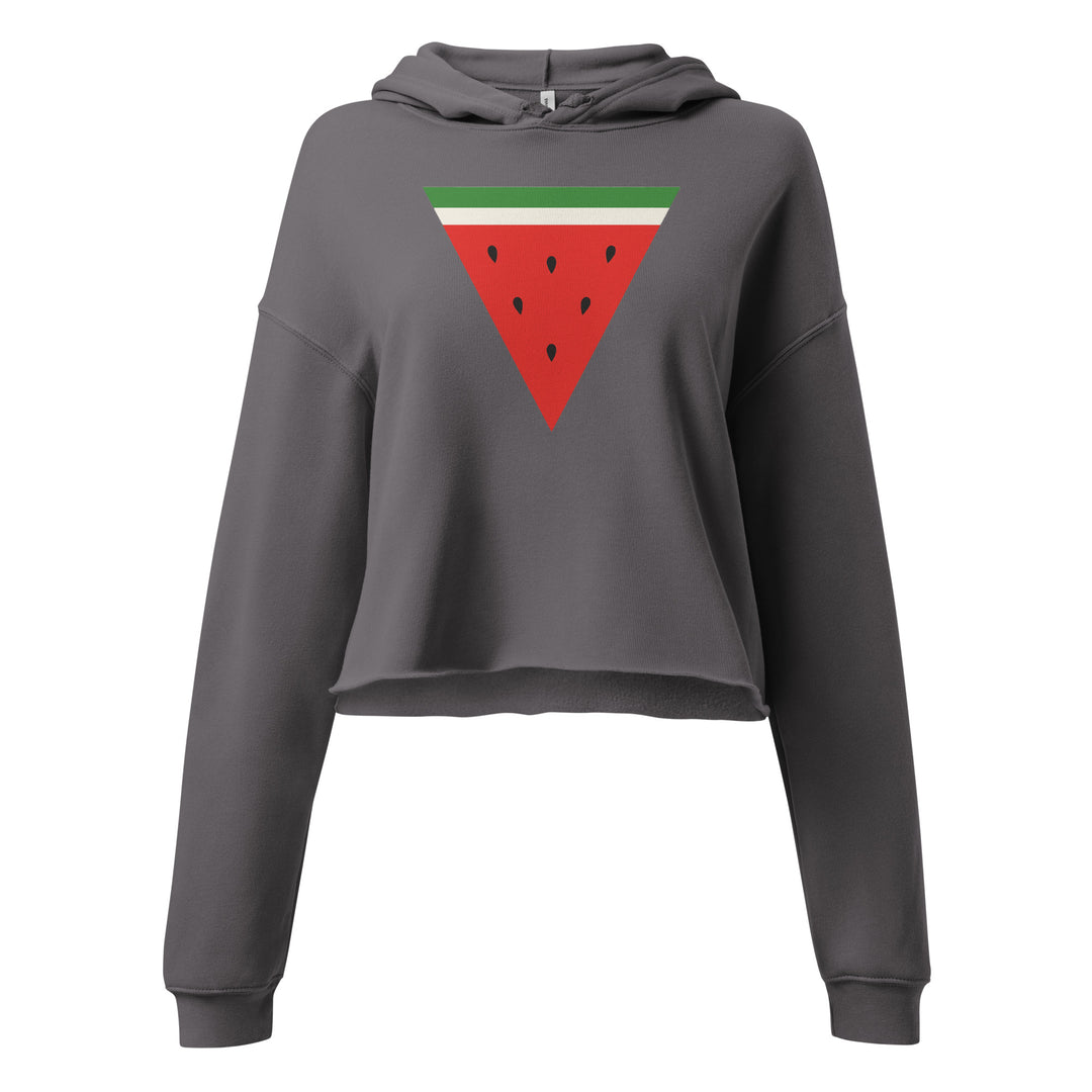 Crop Hoodie - Triangle Watermelon, Womens Cropped Hoodie Storm