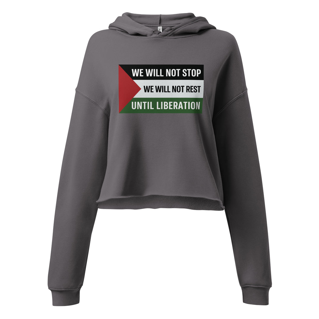 Crop Hoodie - We Will Not Stop, Womens Cropped Hoodie Storm