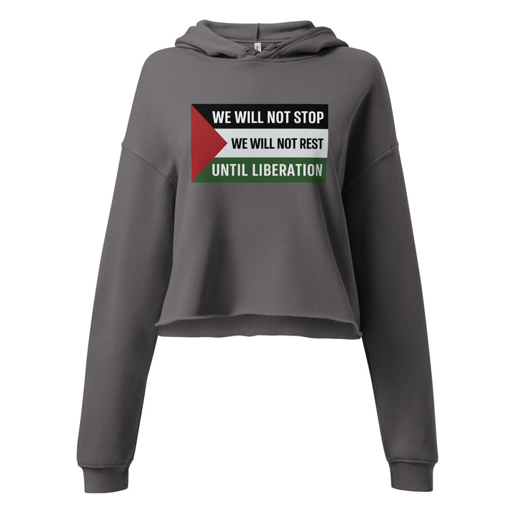 Crop Hoodie - We Will Not Stop, Womens Cropped Hoodie Storm