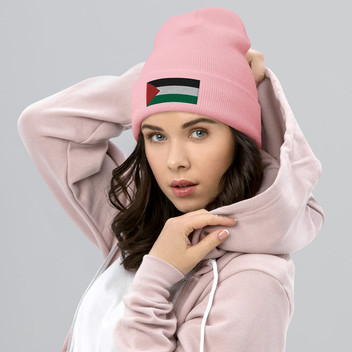 Cuffed Beanie | Palestine Flag