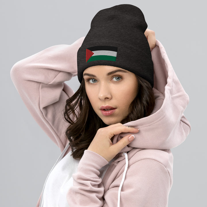 Cuffed Beanie | Palestine Flag