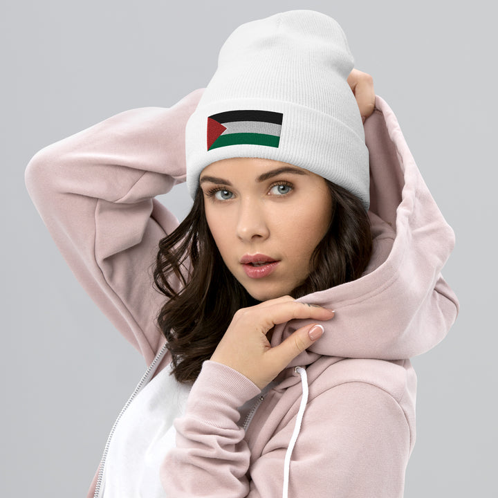 Cuffed Beanie | Palestine Flag