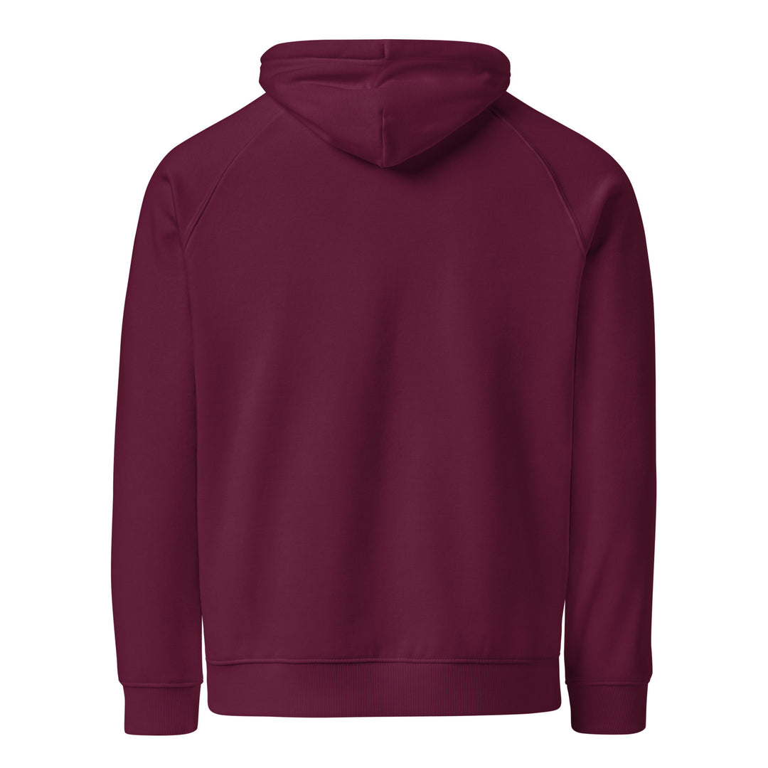 Men eco raglan hoodie - Free Palestine, Eco Raglan Hoodie Burgundy
