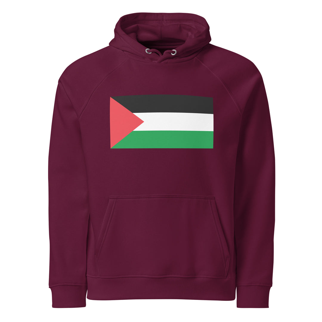Men eco raglan hoodie - Palestine Flag, Eco Raglan Hoodie Burgundy