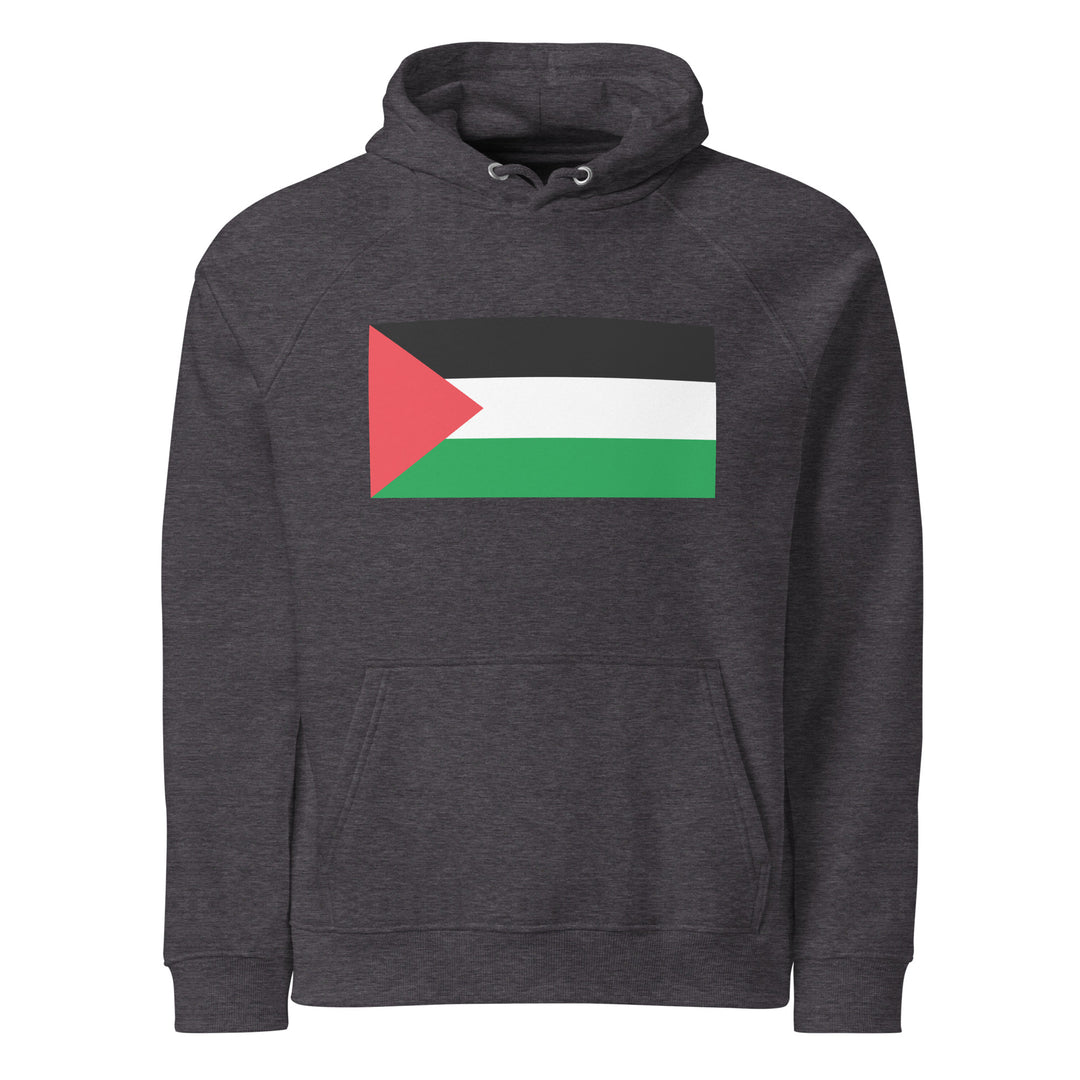 Men eco raglan hoodie - Palestine Flag, Eco Raglan Hoodie Charcoal Melange
