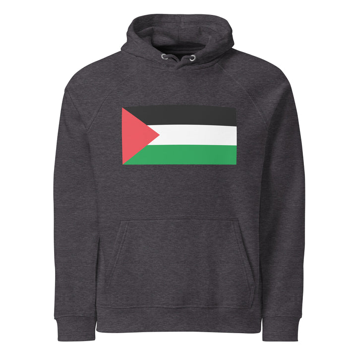 Men eco raglan hoodie - Palestine Flag, Eco Raglan Hoodie Charcoal Melange
