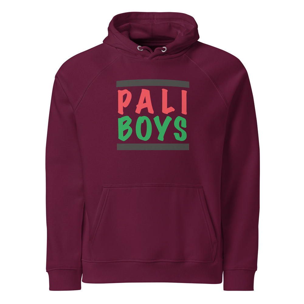Men Eco Raglan Hoodie - Palestinian Boys, Eco Raglan Hoodie Burgundy