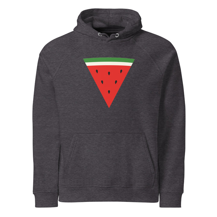 Men Eco Raglan Hoodie - Triangle Watermelon, Eco Raglan Hoodie Charcoal Melange