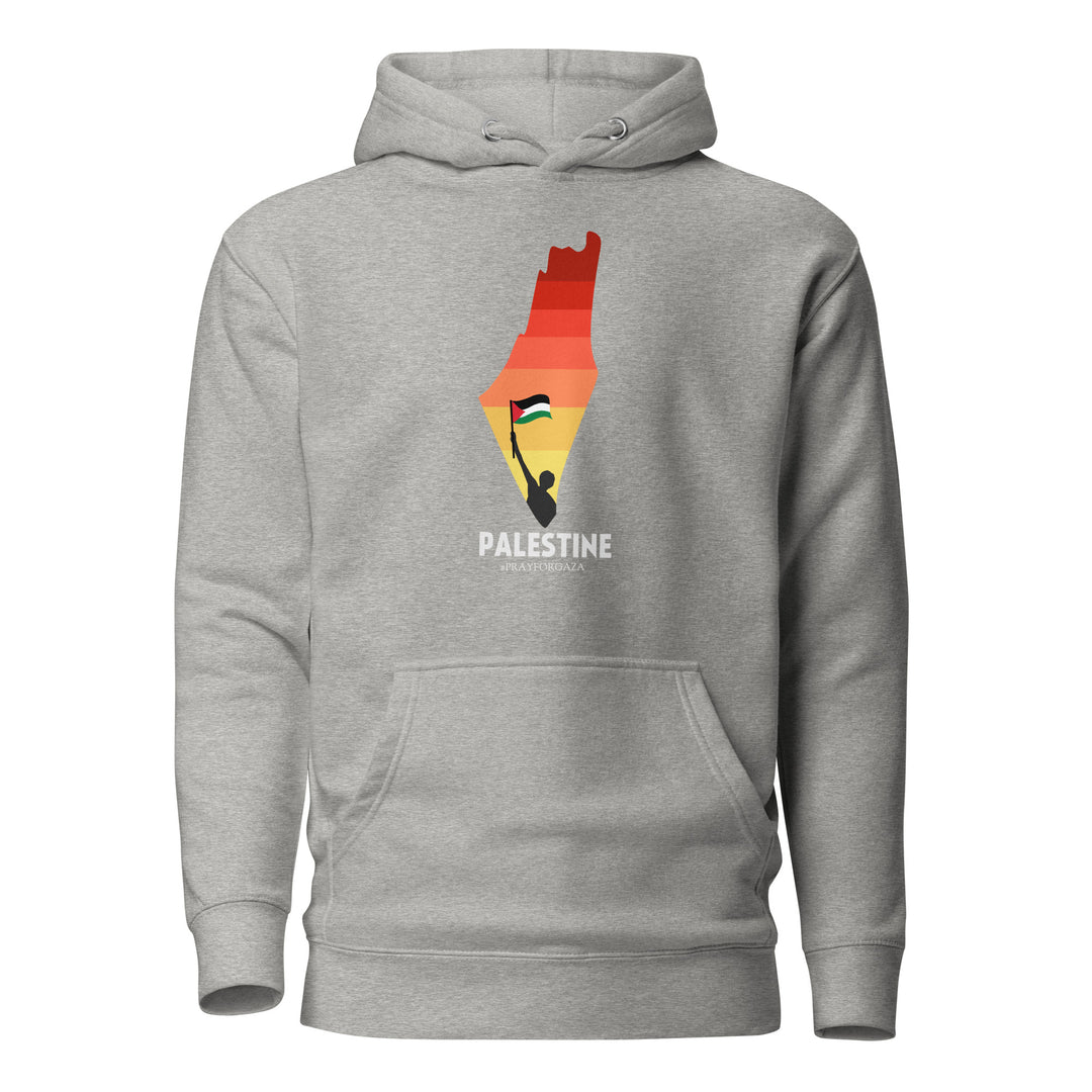 Men Hoodie - Palestine Map, Carbon Grey