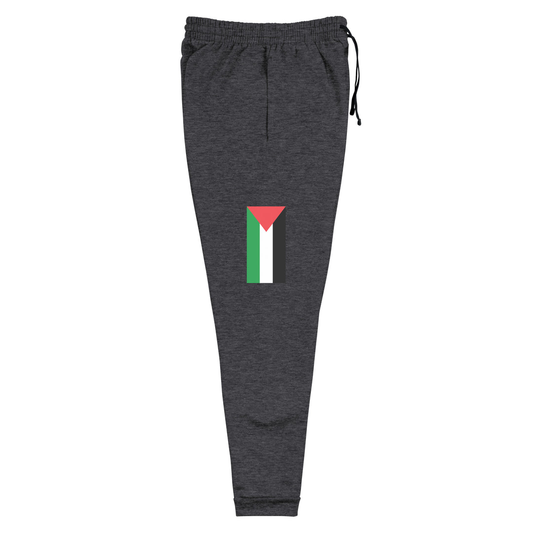 Men Joggers - Palestine Flag, Black Heather Right Leg