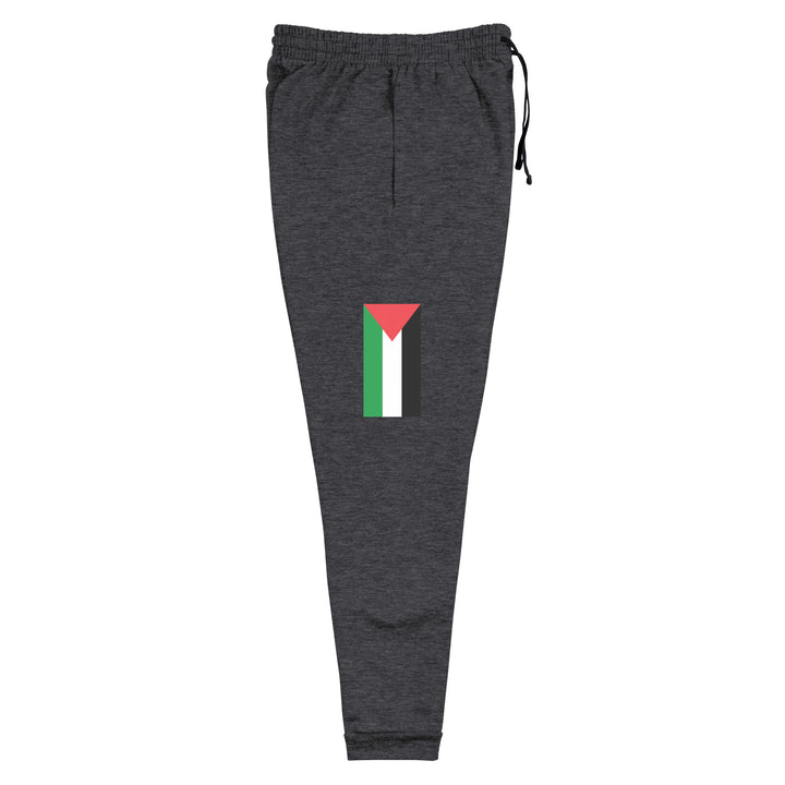 Men Joggers - Palestine Flag, Black Heather Right Leg