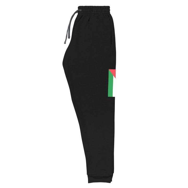 Men Joggers - Palestine Flag, Black