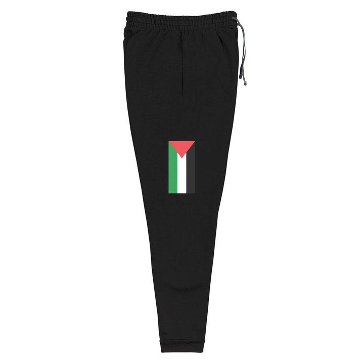 Men Joggers - Palestine Flag, Black Right Leg