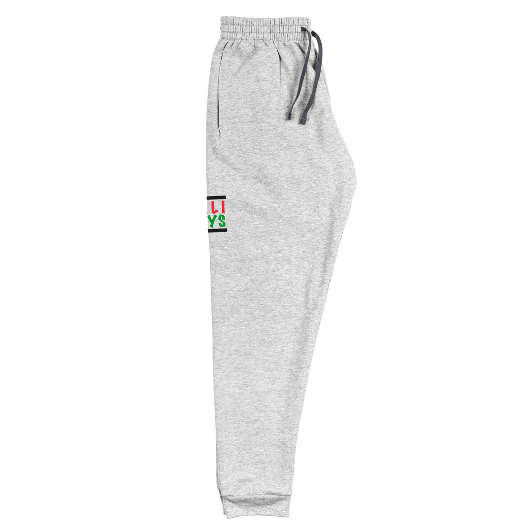 Men Joggers - Palestinian Boys, Heather