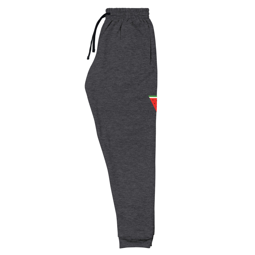 Men Joggers - Triangle Watermelon, Black Heather