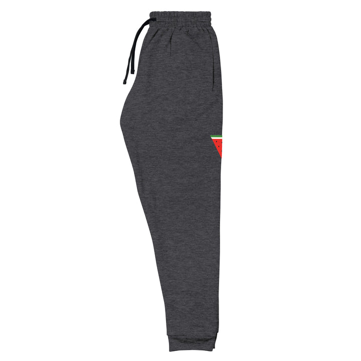 Men Joggers - Triangle Watermelon, Black Heather