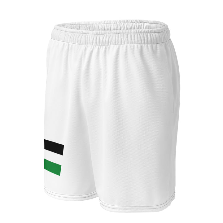 Men mesh shorts - Palestine Flag, Recycled Unisex Mesh Shorts White