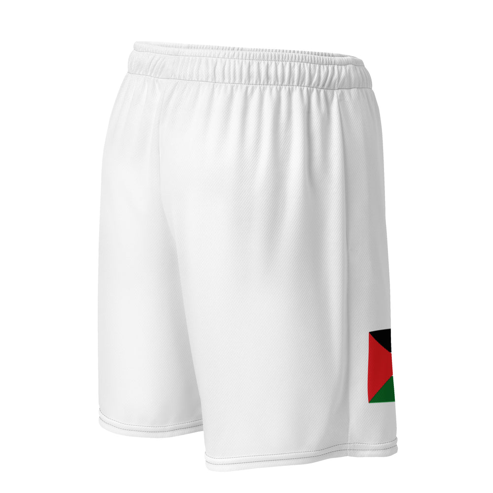 Men mesh shorts - Palestine Flag, Recycled Unisex Mesh Shorts White Right